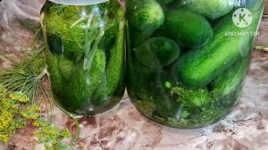 Засолка огурцов на зиму в банках, Рецепт огурцов на зиму в банках, Соленые огурцы