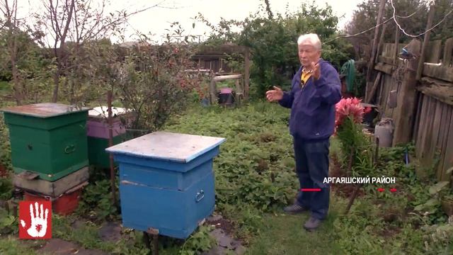 Россельхознадзор нашел в новых пробах превышение количества пестицидов которые погубили пчёл