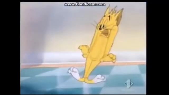 Universal Stock Roar Compilation Read Description For Sources