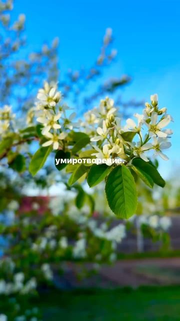 Что дает тебе природа? 🌿