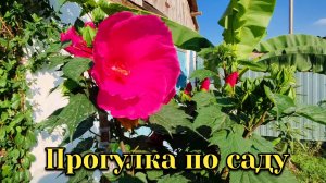 Прогулка по молодому экзотическому саду