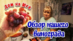 Дом на Юге.  Обзор нашего винограда.
