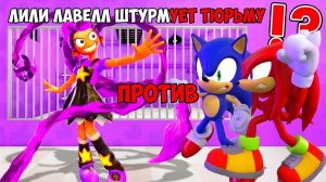 Соник и Кнаклз VS Лили в тюрьме… Мы в ловушке