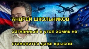 АНДРЕЙ ШКОЛЬНИКОВ Загнав хомяка в угол крысой он от этого не станет