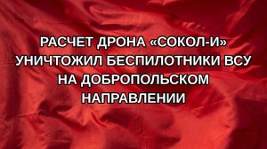 Расчет дрона «Сокол-И» уничтожил беспилотники ВСУ на добропольском направлении
