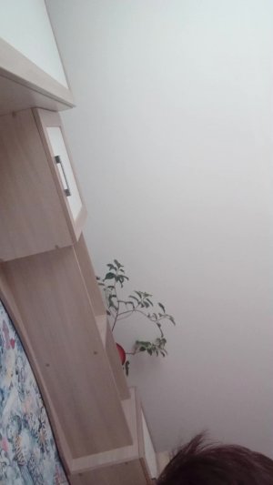 играю в побег от чуга чанги