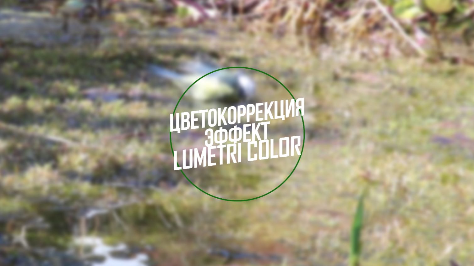 8.1 Цветокоррекция