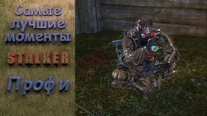 Профи. Stalker. Самые лучшие моменты. #stalker