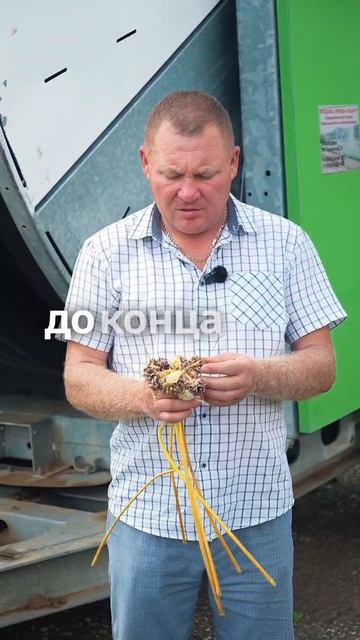 Что мы делаем СО СТРЕЛКАМИ