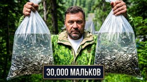 Рабочие Междуречья и компании Сибуглемет выпустили более 30.000 мальков хариуса