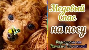 Медовый спас на носу / Пчела из бисера / Объёмное бисероплетение / Идеи из бисера к празднику /