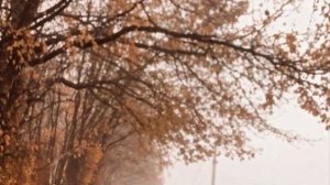 🫶🏽Поход в кофешку с Женушкой🫶🏽