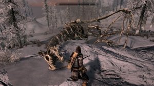 Skyrim Special Edition.  1.Убийца драконов.