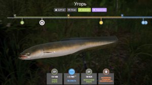 Угорь, Старый Острог, выполнения квалификационного задания в игре Русская Рыбалка 4