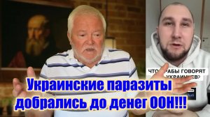 Дайте же украинским паразитам порулить деньгами ООН