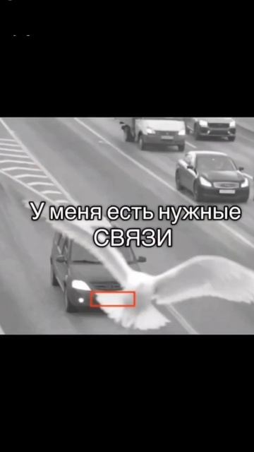 Многие спрашивают почему не приходят мне штрафы