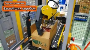 Укладка упаковок, закрытие и укладка коробок для птицефабрик|GX-Kyowa