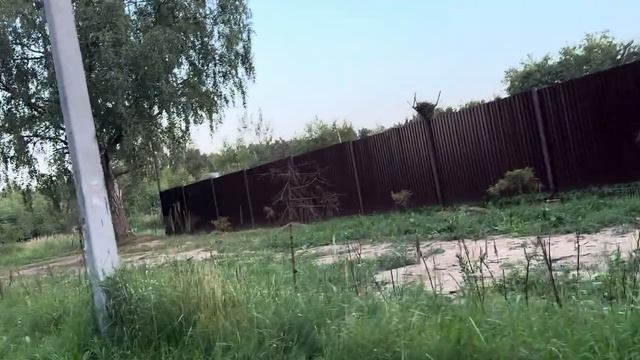 НЕБОЛЬШАЯ ПРОГУЛКА ...ВЕДЬМИНА ИЗБА. ИНГА ХОСРОЕВА.