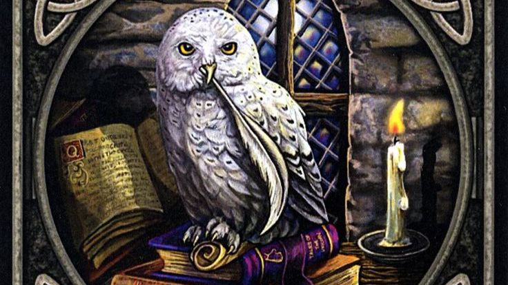 Предупреждение из мира мертвых 🕊️💟💀
