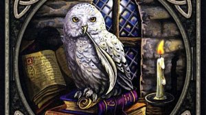 Предупреждение из мира мертвых 🕊️💟💀