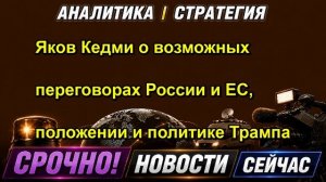 Яков Кедми о возможных переговорах России и ЕС, положении и политике Трампа