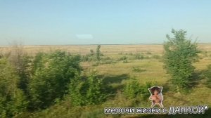 ТИХОН**ОДИНОКИЙ ПУТНИК**ИЗ ОКНА ПОЕЗДА ..... ВСЕ ПОЛЯ, ДА СТЕПИ. ЕСТЬ О ЧЕМ ЗАДУМАТЬСЯ..