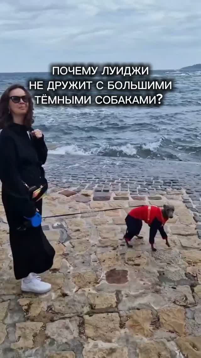 ЧТО ЗА ИСТОРИЯ?