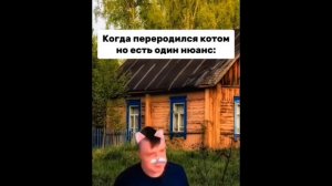 сборник мемов с мелстроем на 5 минут