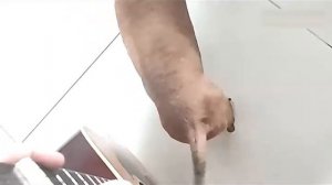 Всячинки
