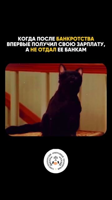 До банкротства каждый приход зарплаты — это красный свет.«Нельзя тратить, надо отдать»