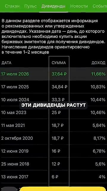 Куда прячут деньги миллиардеры?