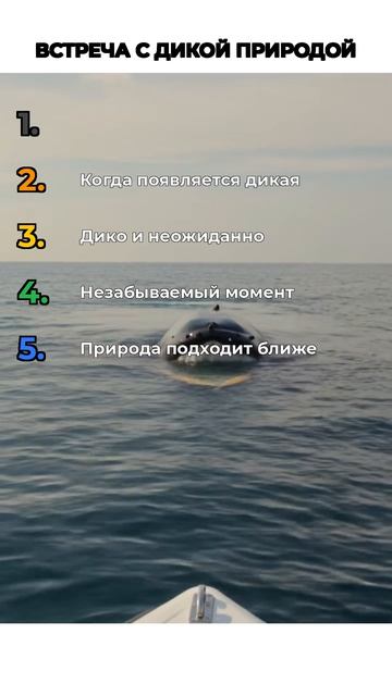 ВСТРЕЧИ С ДИКОЙ ПРИРОДОЙ