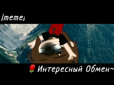 meme Интересный Обмен