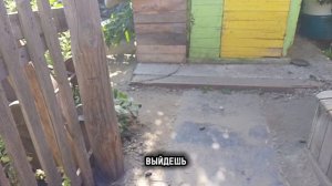 некер фам.