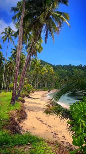 Ко Чанг 🇹🇭 Таиланд