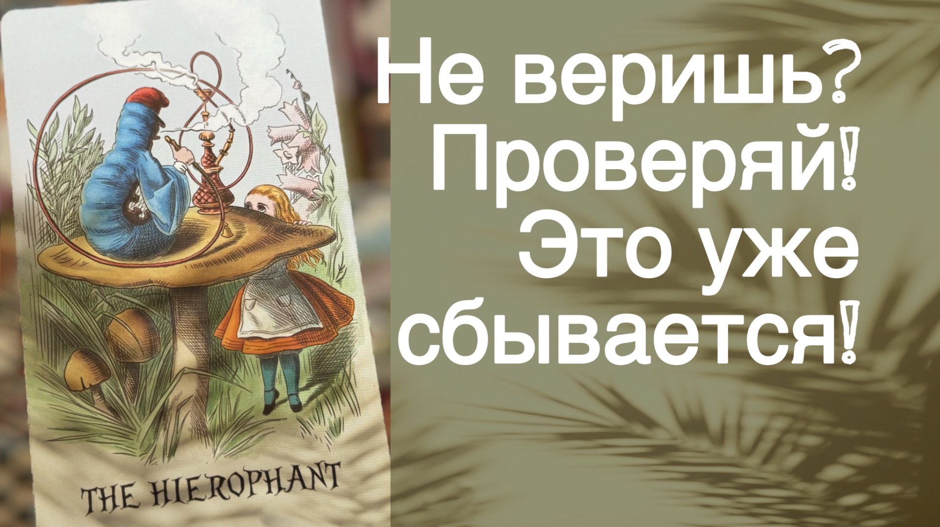 ‼️ 200%💥 Вы такого не Ожидали...🌻💛♣️ с Ниной