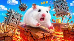 Побег хомяка из лабиринта 😊Гонка Пушистика с препятствиями