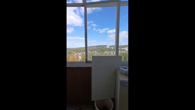 VID_20260813_175220