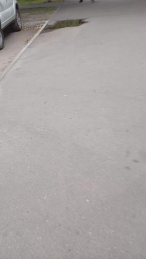 походка в парк