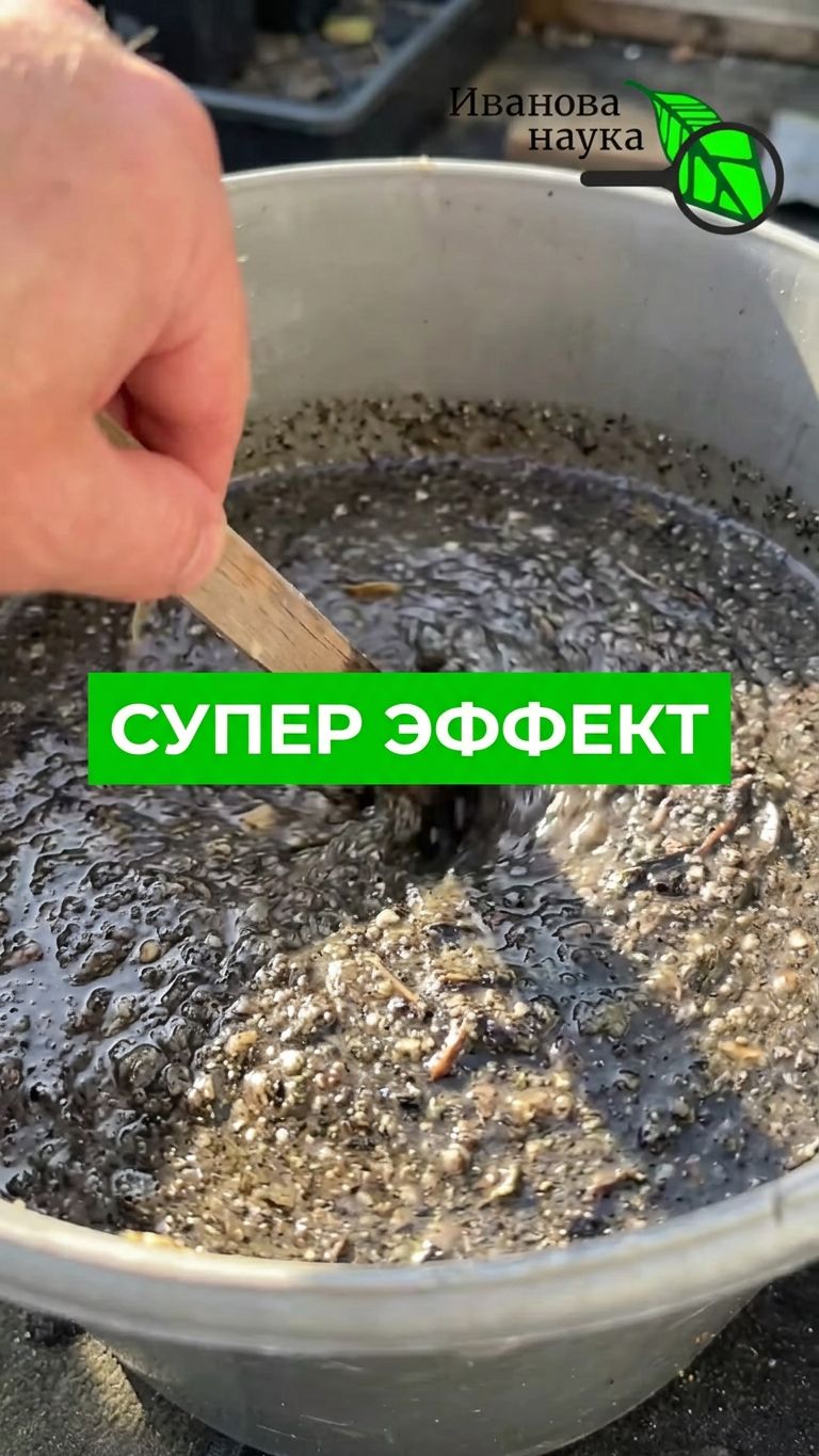 ❌ Хватит тратить деньги!🤯Супер подкормка ПЛОДОВЫХ ДЕРЕВЬЕВ