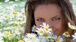 Расскажи ромашка