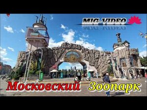Московский зоопарк Сентябрь 2023г