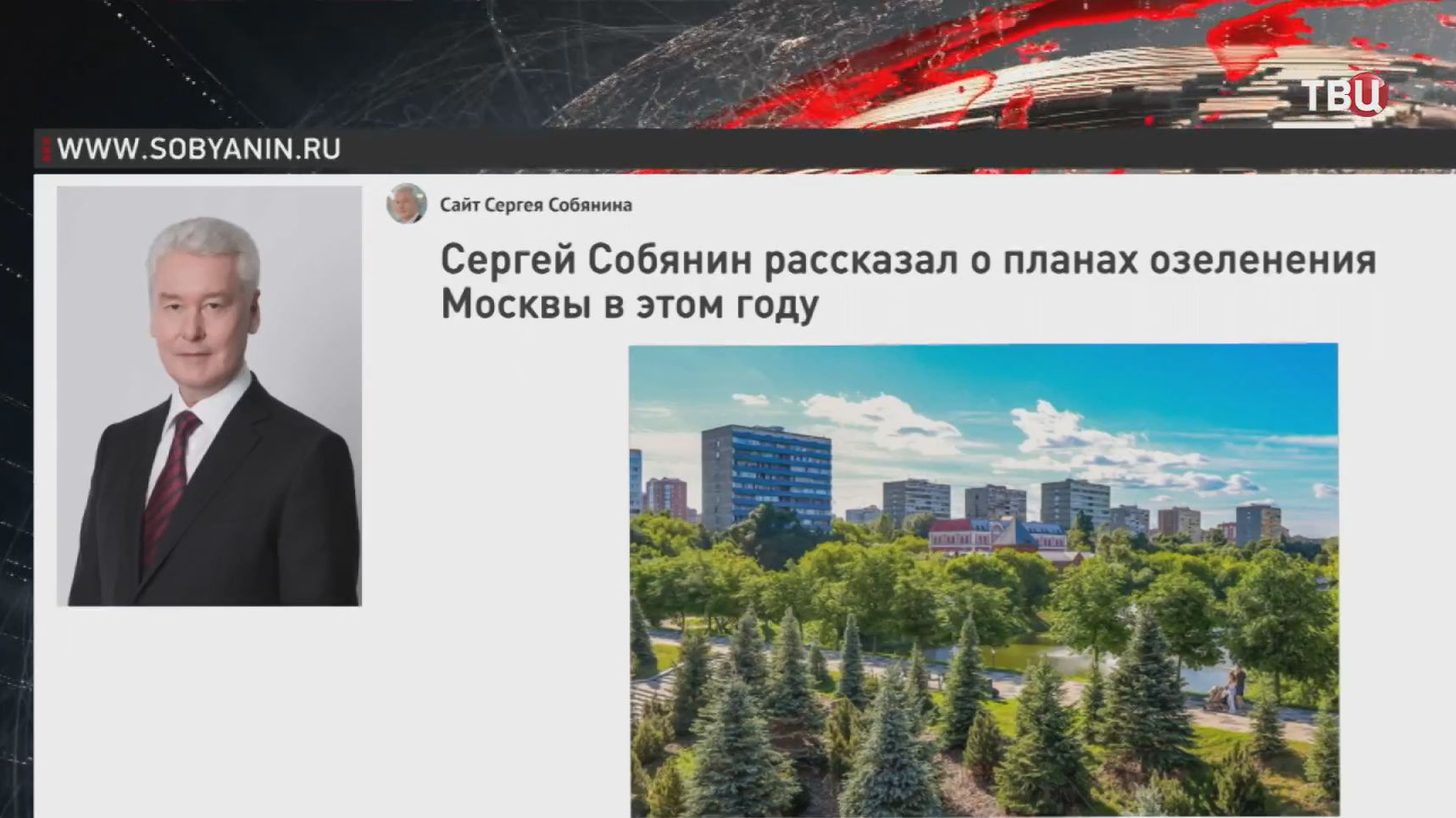 Собянин: В Москве в этом году высадят около 10 тысяч деревьев