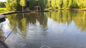 Карпуша клюёт