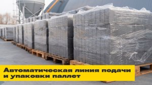 Автоматическая линия подачи и упаковки паллет