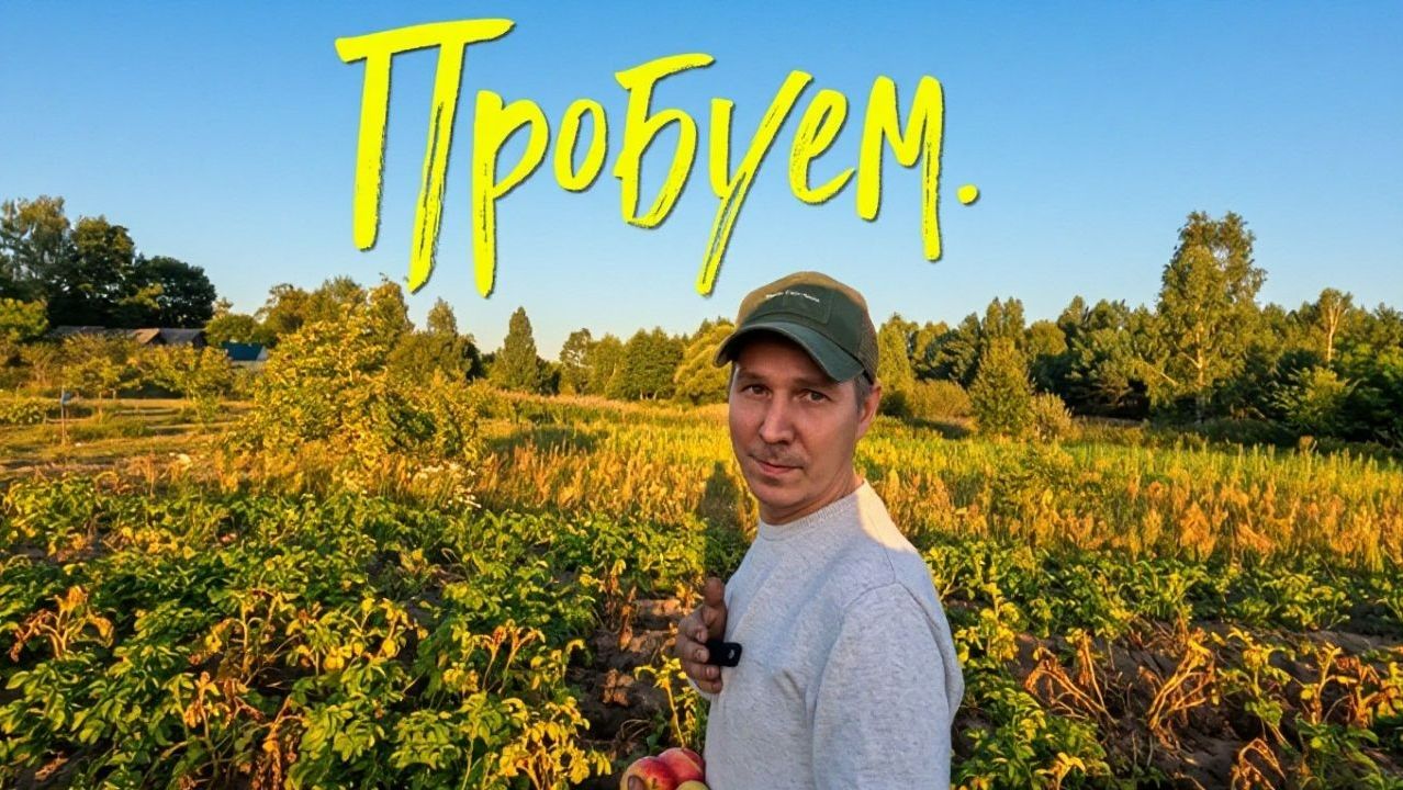 Пробуем