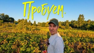 Пробуем