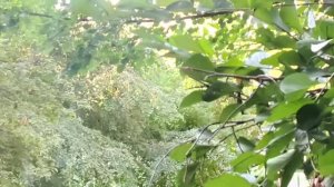 13.08. 2026 г Жизнь ВПОПроснулась рано, прохладноКраматорск - центр громко😢