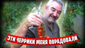 Жизнь в Донецке / Сбор урожая, заготовка семян и другие повседневные дела