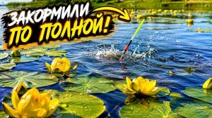 ЗАКОРМИЛИ по ПОЛНОЙ КАРАСЯ!!! Рыбалка с ночевкой с поплавком.